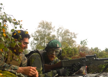 U.S. Marines, Swedish forces sharpen littoral combat capabilities