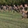 Romanian, U.S. Marines build partnership through PT