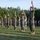 Romanian, U.S. Marines build partnership through PT