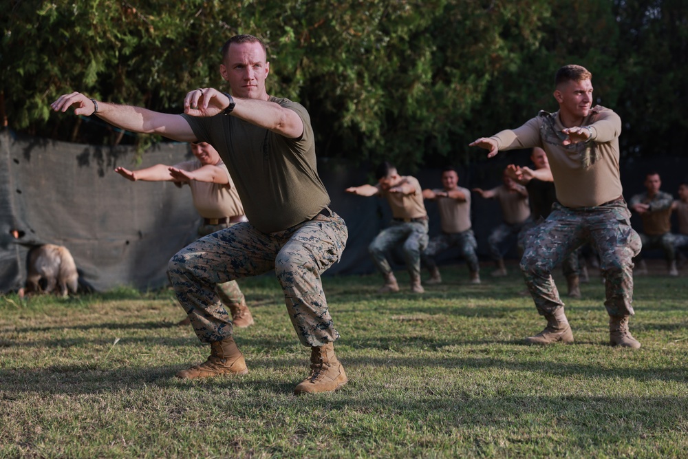 Romanian, U.S. Marines build partnership through PT