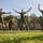 Romanian, U.S. Marines build partnership through PT