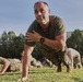 Romanian, U.S. Marines build partnership through PT