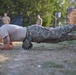 Romanian, U.S. Marines build partnership through PT