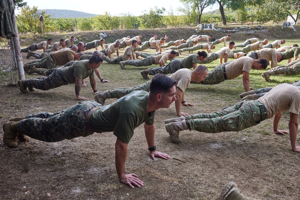 Romanian, U.S. Marines build partnership through PT