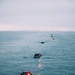11th MEU ACVs Splash from the USS Boxer