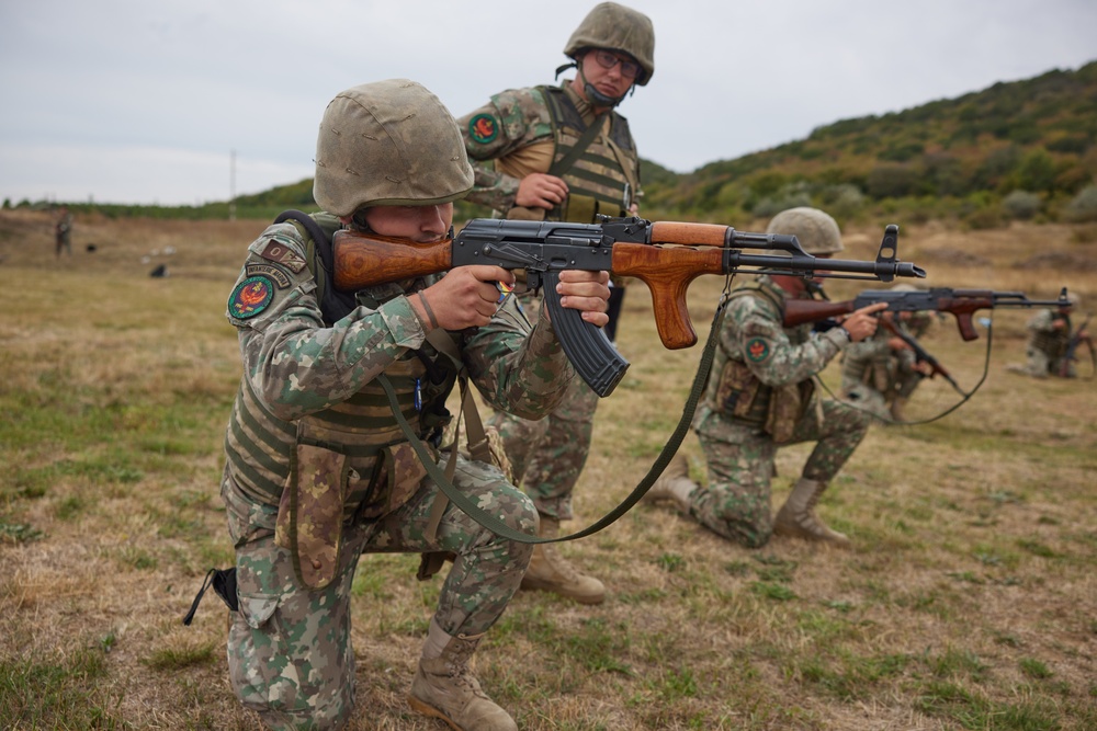 Romanian, U.S. Marines develop shared infantry skills
