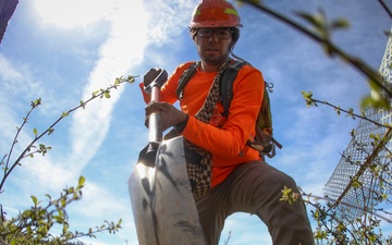 Science and Reforestation