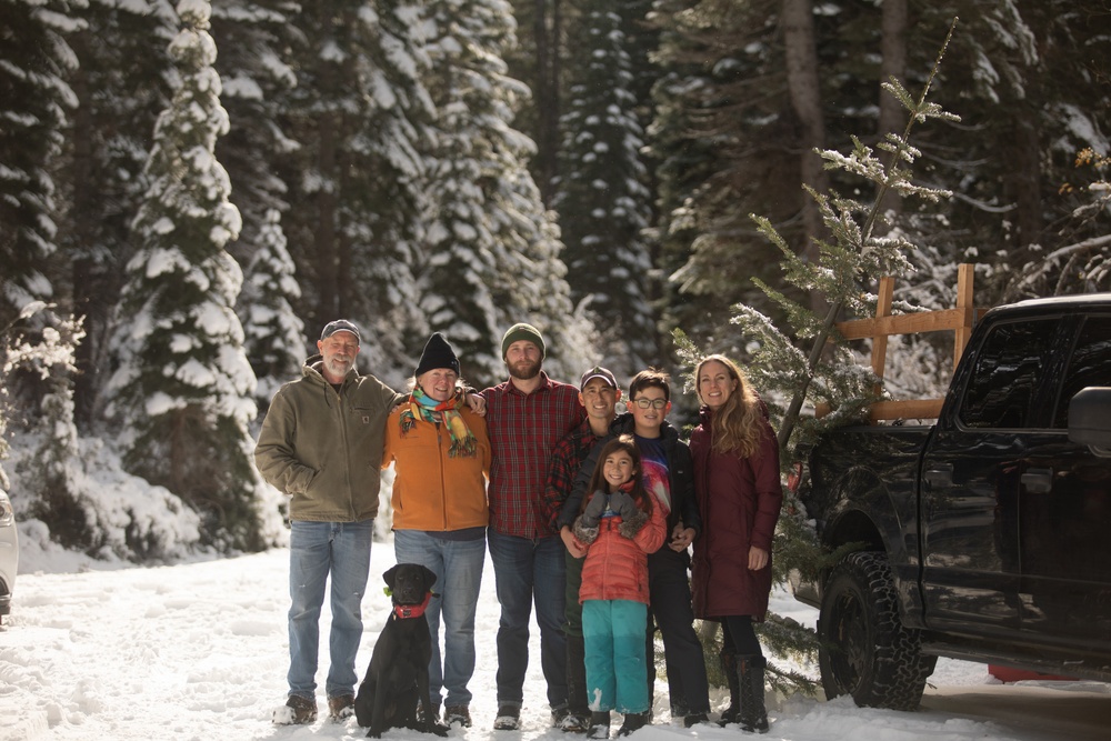 A Christmas Tree Awaits in a Forest Near You