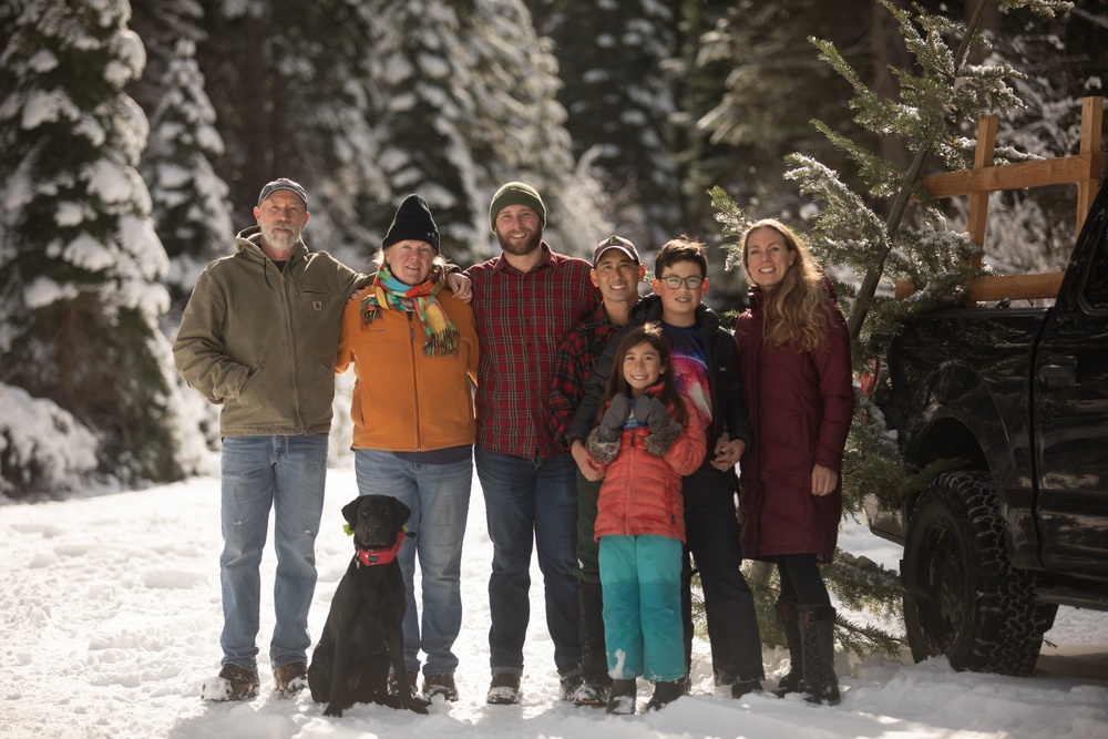 A Christmas Tree Awaits in a Forest Near You