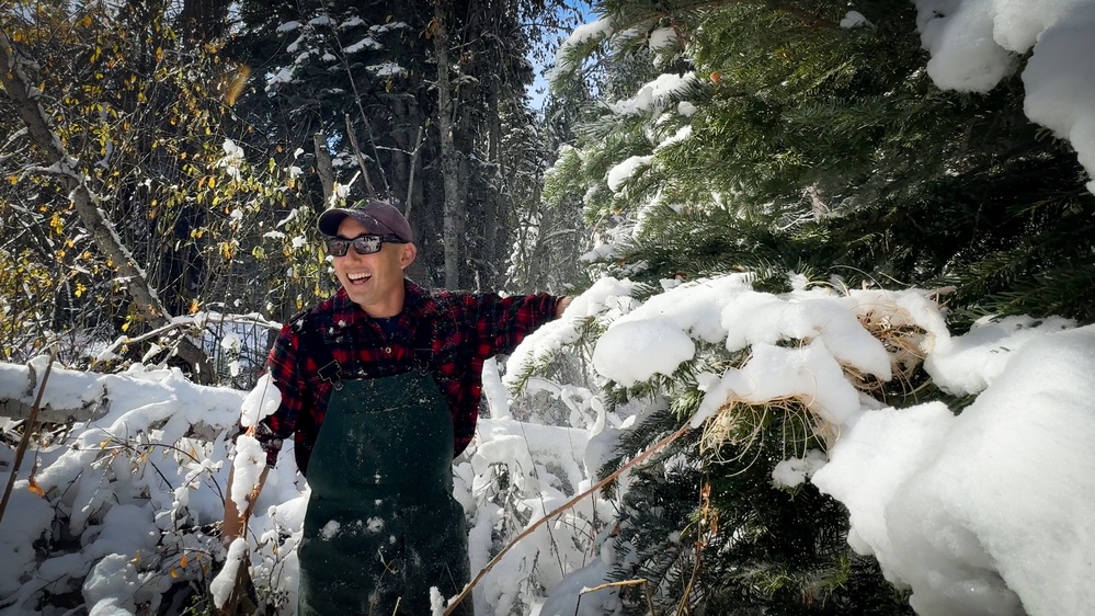 A Christmas Tree Awaits in a Forest Near You