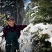 A Christmas Tree Awaits in a Forest Near You