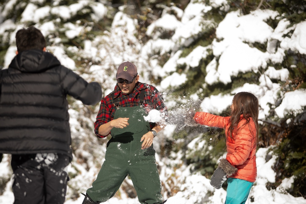 A Christmas Tree Awaits in a Forest Near You
