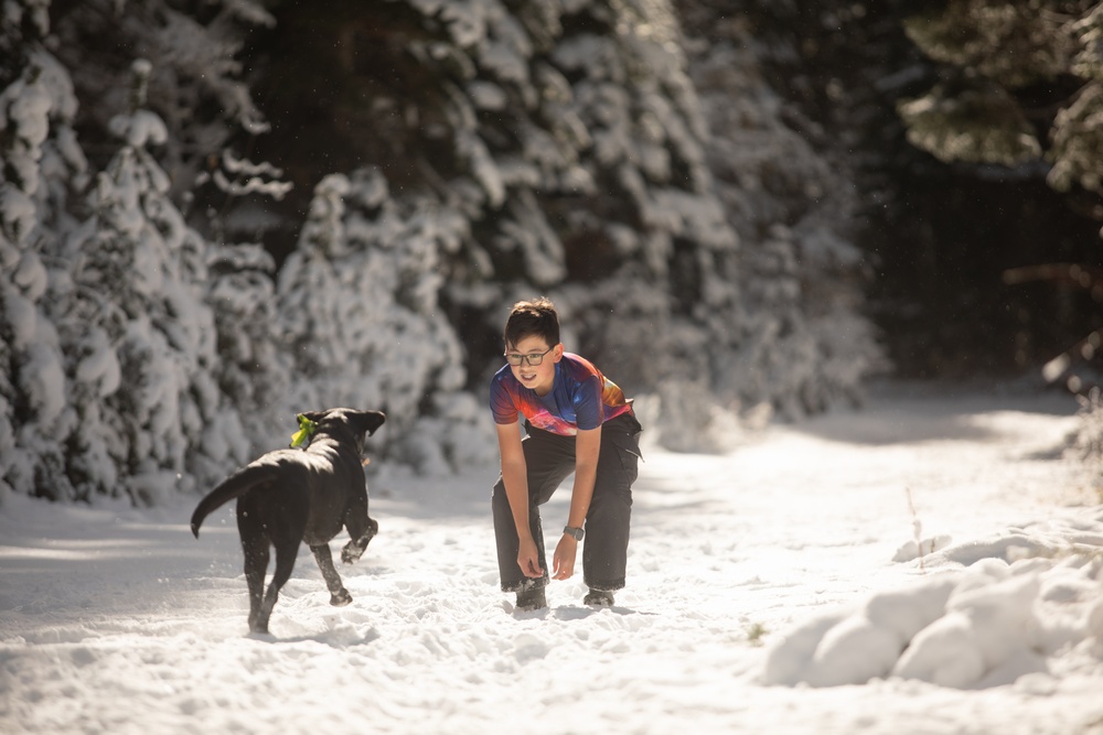A Christmas Tree Awaits in a Forest Near You