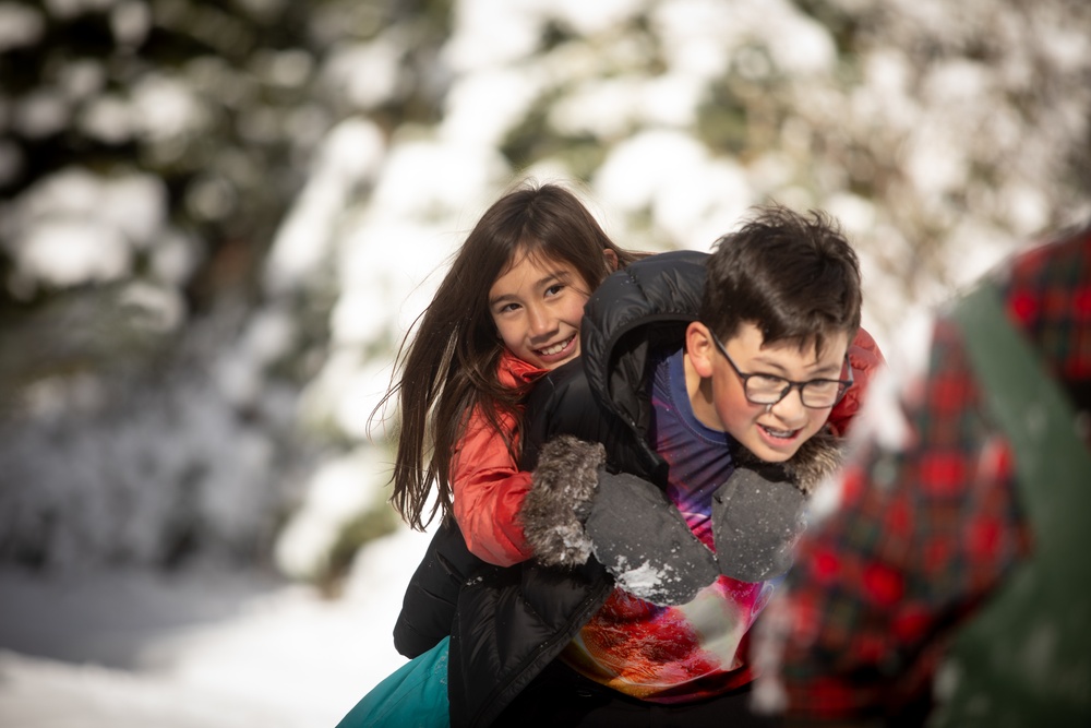 A Christmas Tree Awaits in a Forest Near You