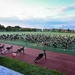 11 ATF Runs 1,007 Miles for 9/11 Remembrance Run