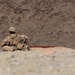3rd Bn., 7th Marines conduct Blade FEX