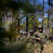 UNITAS 2025: Marines and Naval Infantries Conduct Patrols