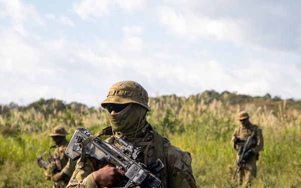 U.S. Army, Australian Soldiers and Japan Ground Self-Defense members are conducting familiarization training prior to the upcoming live fire training.