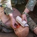 173rd Airborne Brigade E2B