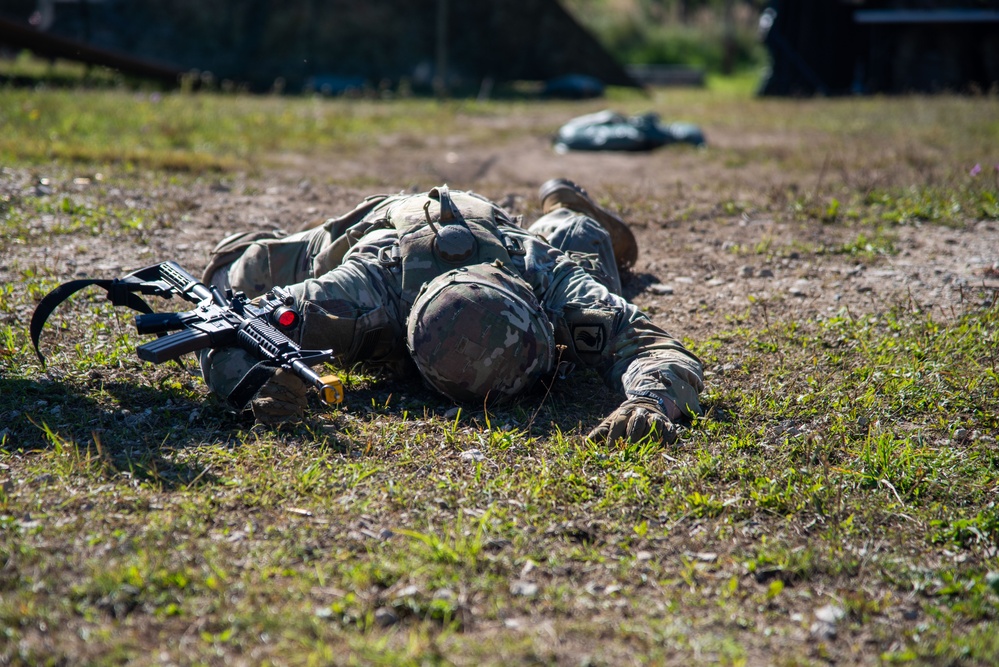 173rd Airborne Brigade E2B