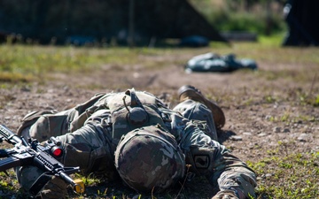 173rd Airborne Brigade E2B