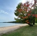 2025 FALL COLORS