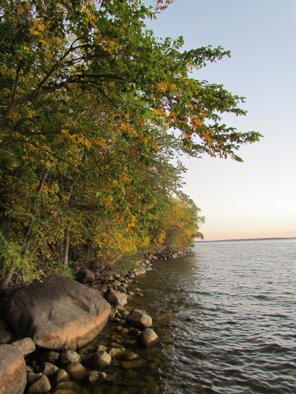 2025 FALL COLORS