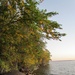 2025 FALL COLORS