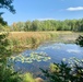 2025 FALL COLORS