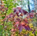 2025 FALL COLORS