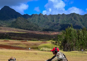132d Wing Security Forces conduct annual training in Hawaii