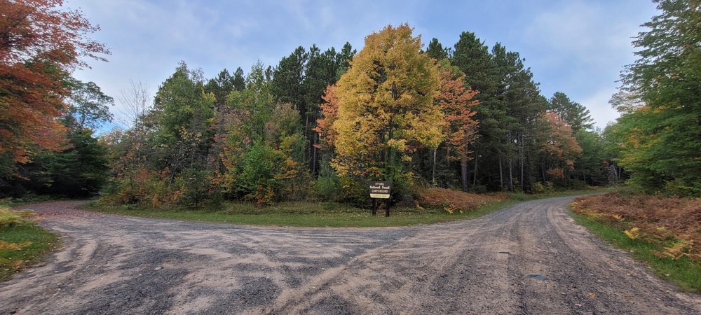2025 FALL COLORS