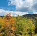 2025 FALL COLORS