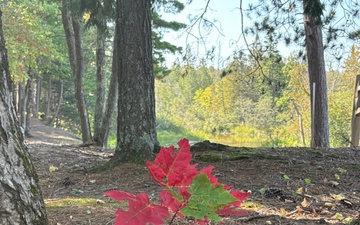 2025 FALL COLORS