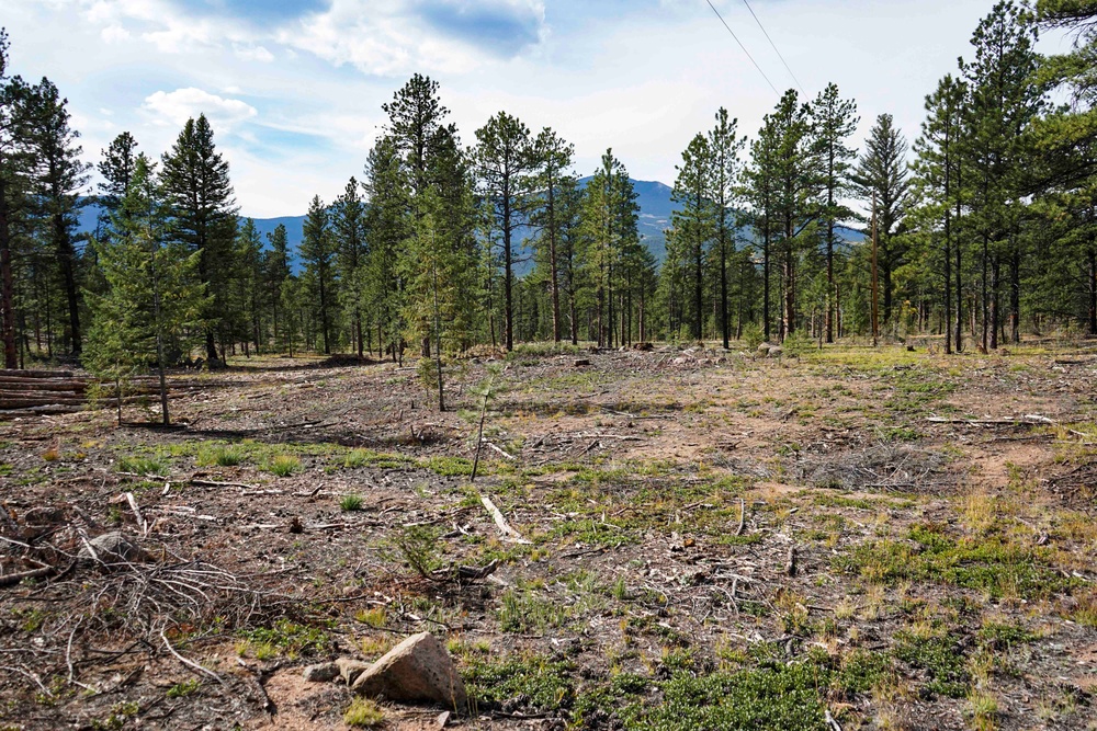 Rolling Creek Mechanical Thinning Project - Pike National Forest