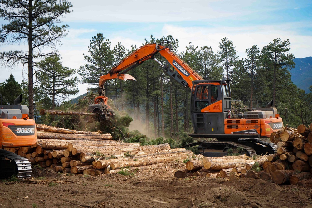 Rolling Creek Mechanical Thinning Project - Pike National Forest