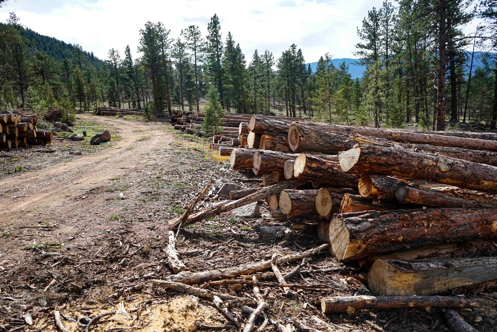 Rolling Creek Mechanical Thinning Project - Pike National Forest