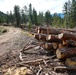 Rolling Creek Mechanical Thinning Project - Pike National Forest