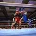 Fight Night returns to ring bigger, better at Fort Hood