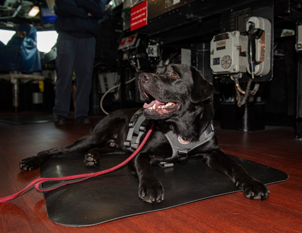 USS Higbee &quot;Mutts on a Mission&quot; Visit