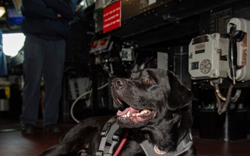USS Higbee &quot;Mutts on a Mission&quot; Visit