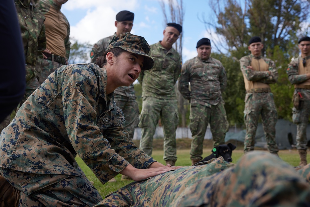 Heracleea 25 Tactical Combat Casualty Care (TCCC) Skills