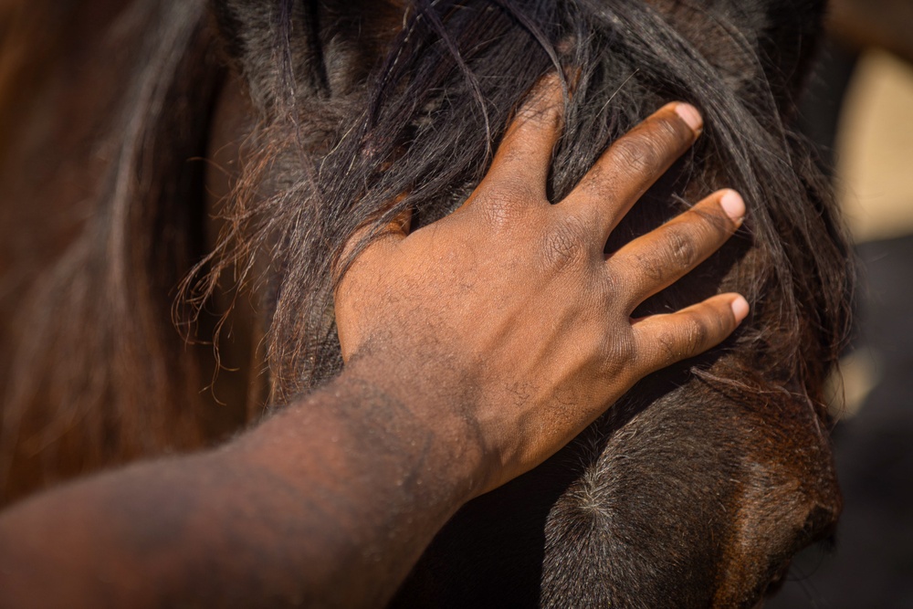 Marines participate in REINS of Valor