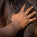 Marines participate in REINS of Valor