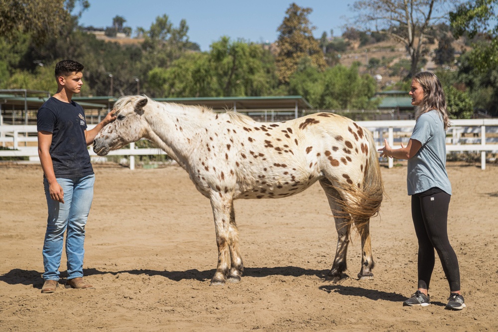 Marines participate in REINS of Valor