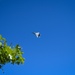 104th Fighter Wing Celebrates Fini Flights for 'Boom' and 'Gronk'