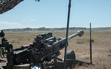 Ivy Sting 1 Modernizes Fire Control