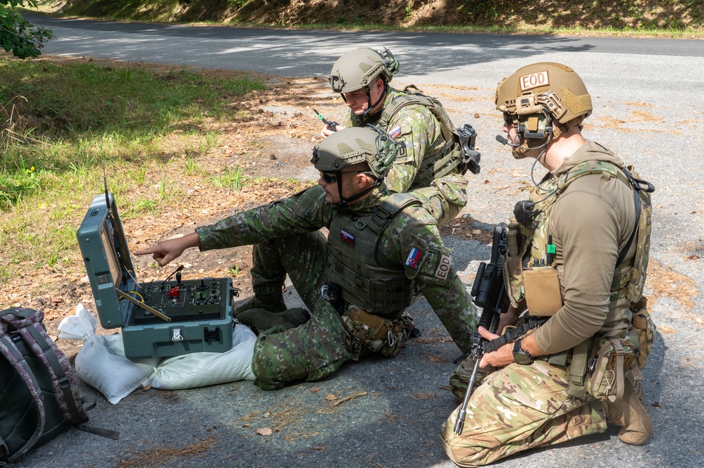 MiniGATOR 2025: 419th Airmen train with allies in the Czech Republic