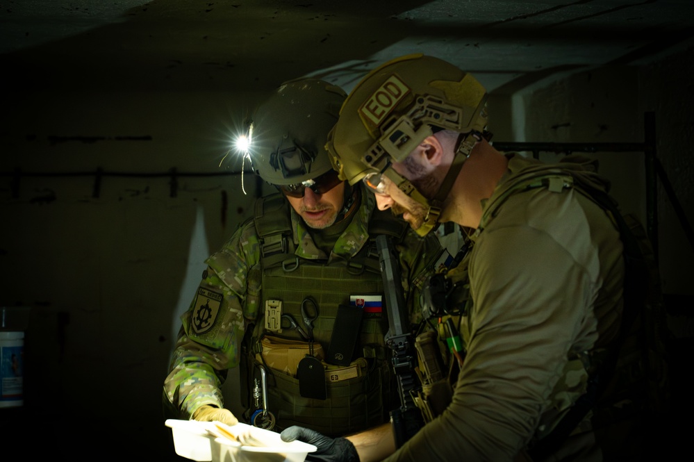 MiniGATOR 2025: 419th Airmen train with allies in the Czech Republic