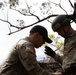 25th ID Enhances Readiness at Lightning Academy Air Assault Course
